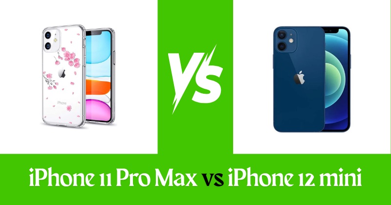 iPhone 11 Pro Max vs iPhone 12 mini